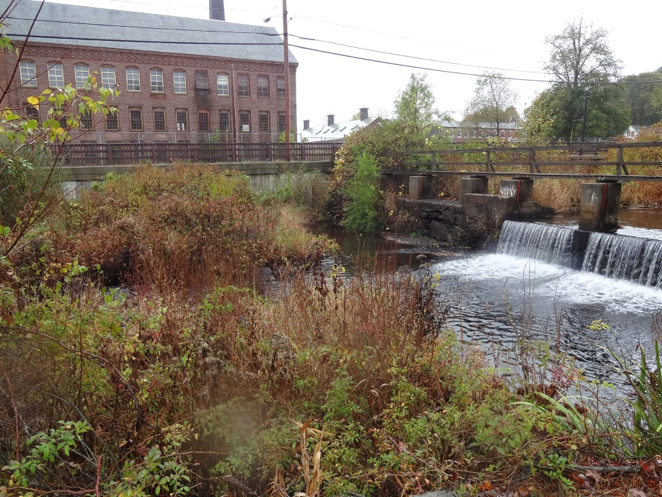 West Brittania Dam | Photo by U.S. Fish and Wildlife Service Northeast Region