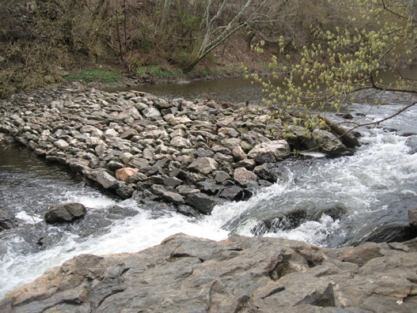 Kent Park Dam partially breached. Water from Darby Creek flows through a section of the dam that has been breached in the removal process.