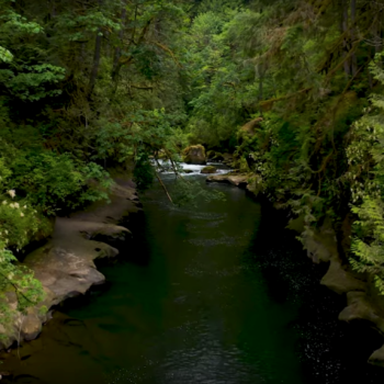 Green-Duwamish River | Photo from Google Earth Documentary