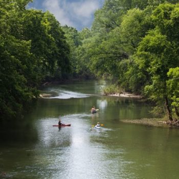 Harpeth River | Photo by Paula Tejo