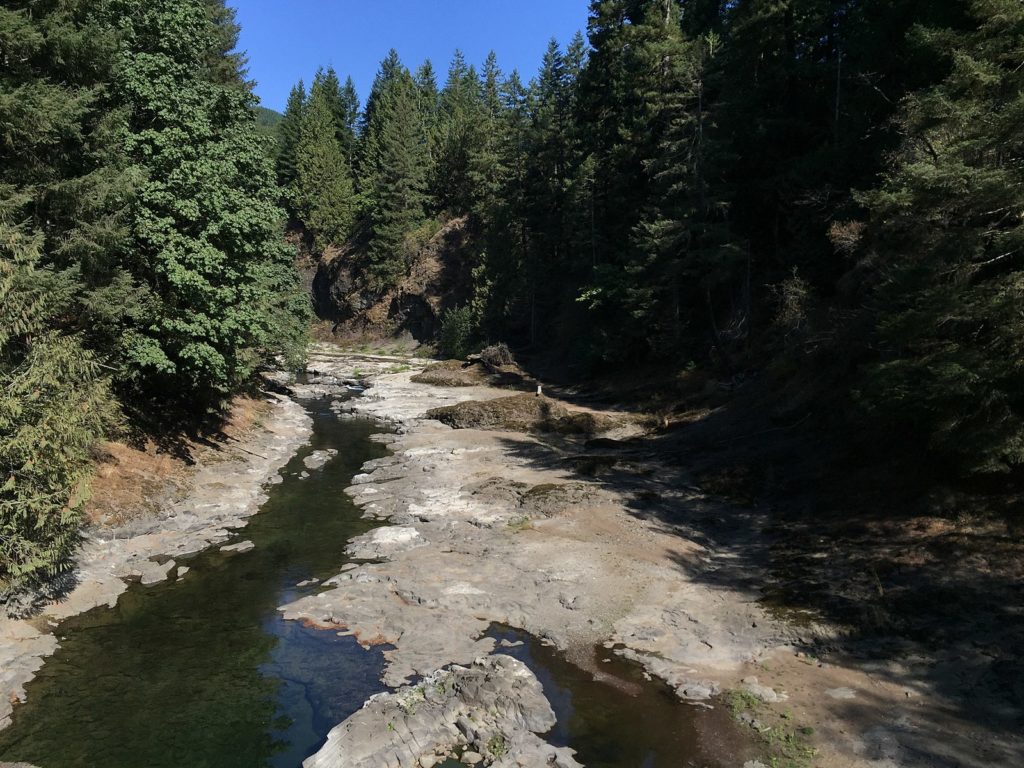 Upper Chehalis River, WA