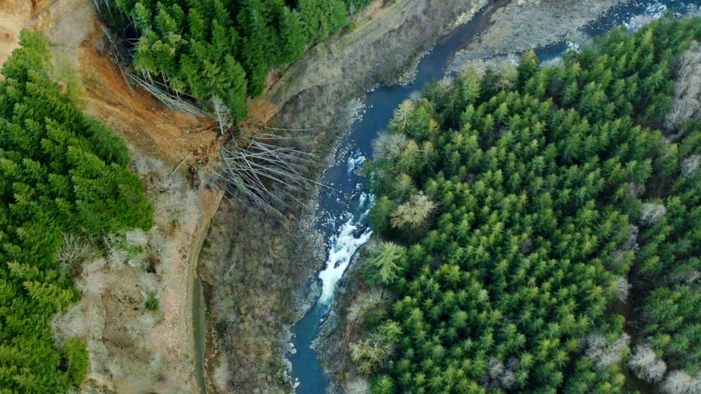 Help stop a dam on the Chehalis river American Rivers