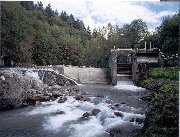 Middle Fork Nooksack Dam