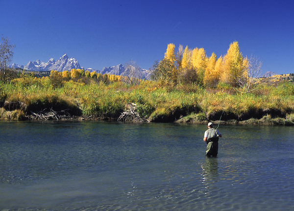 South Fork Buffalo Fork, WY | Photo by Scott Bosse