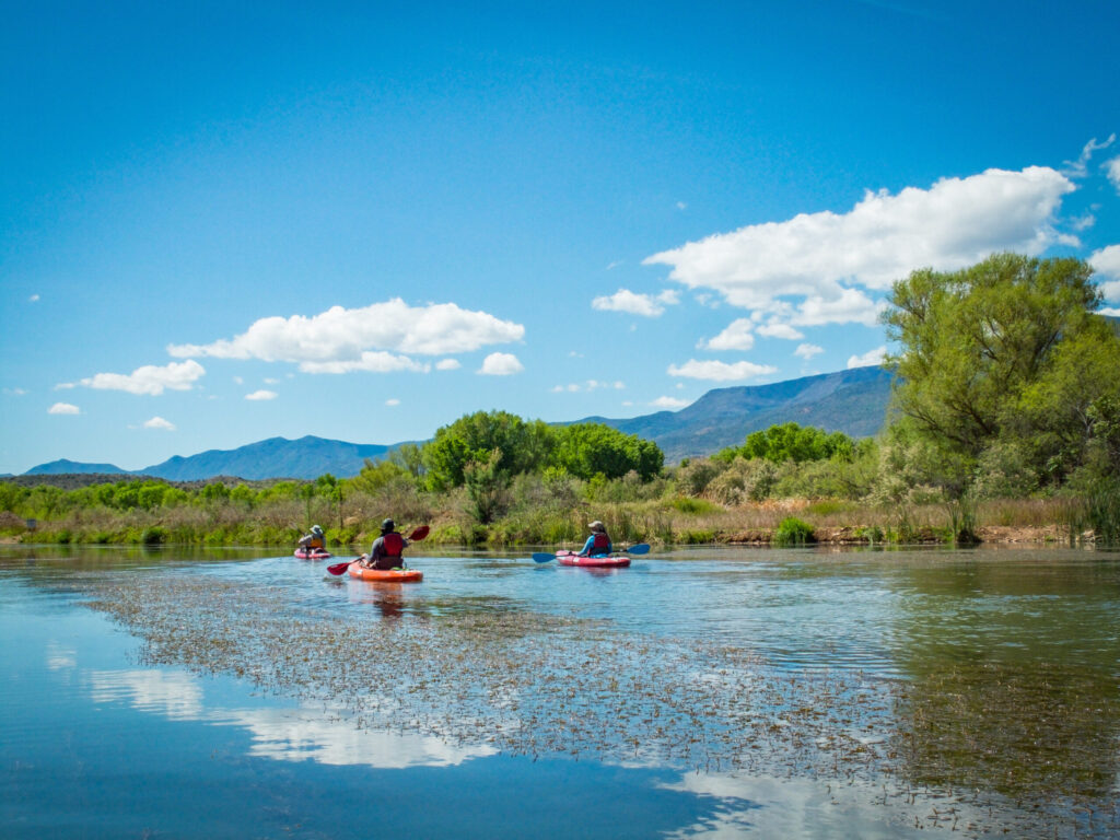 Verde River, AZ | Photo by Sinjin Eberle