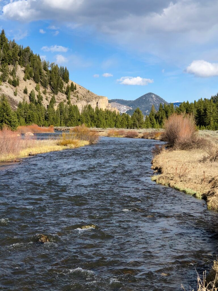 Gallatin River | Photo by Scott Bosse