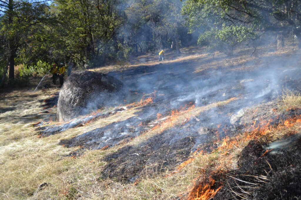 Prescribed fire at Murphy Meadow in 2015 | Photo by Julie Fair