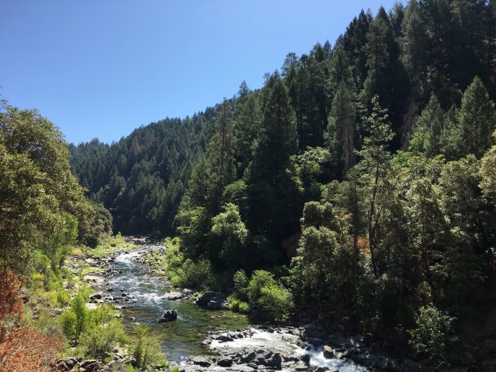 The forested South Yuba Canyon to be treated using prescribed fire | Photo by Stephen Graydon