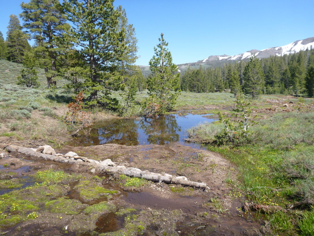 Restored gully in Lower Sardine after restoration | Photo by Julie Fair