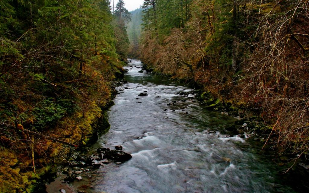 Duckabush River, WA