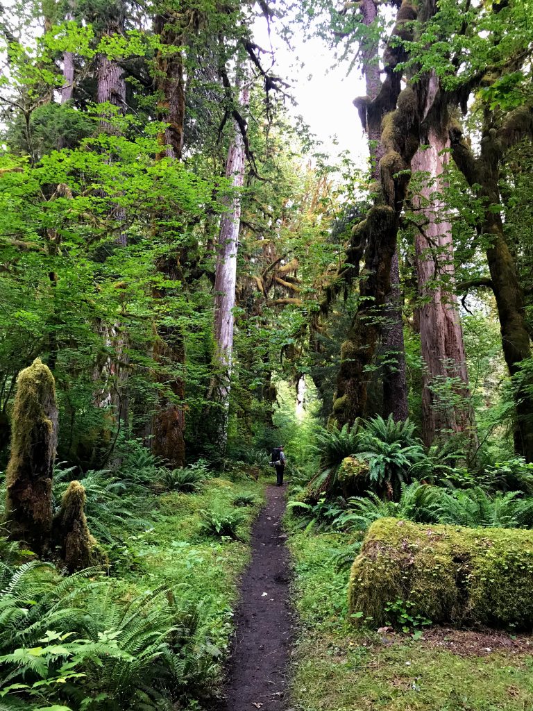 Hiking in the Hoh Rainforest | Photo by Bridget Moran