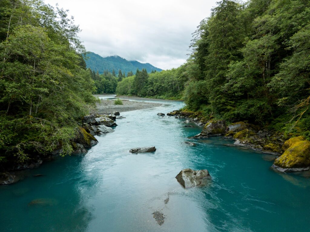 Hoh River, WA | Photo by Colin Wiseman