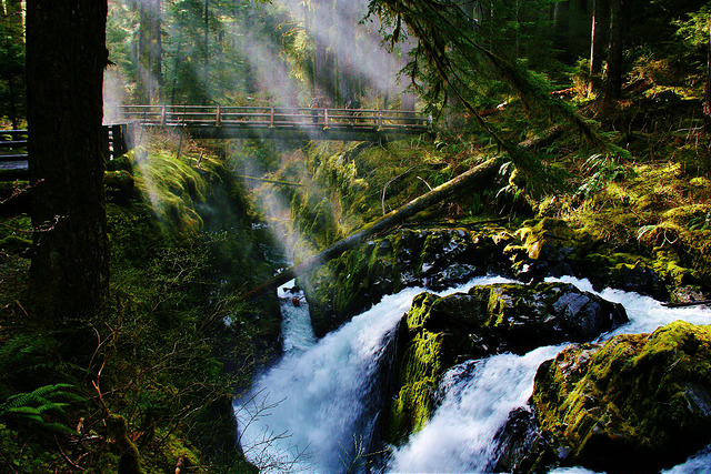 Sol Duc River, WA