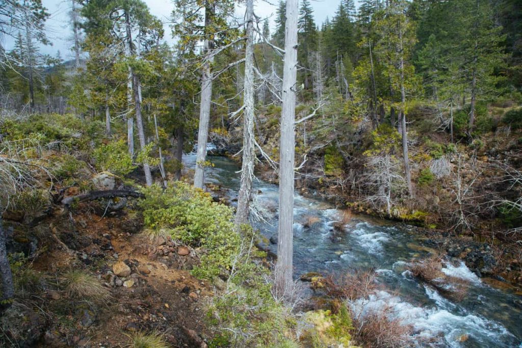 Baldface Creek, OR | Photo by Northwest Rafting Co./Zach Collier 