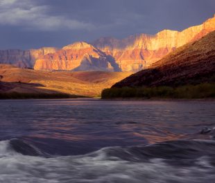 Colorado River, AZ | Photo by Tim Palmer