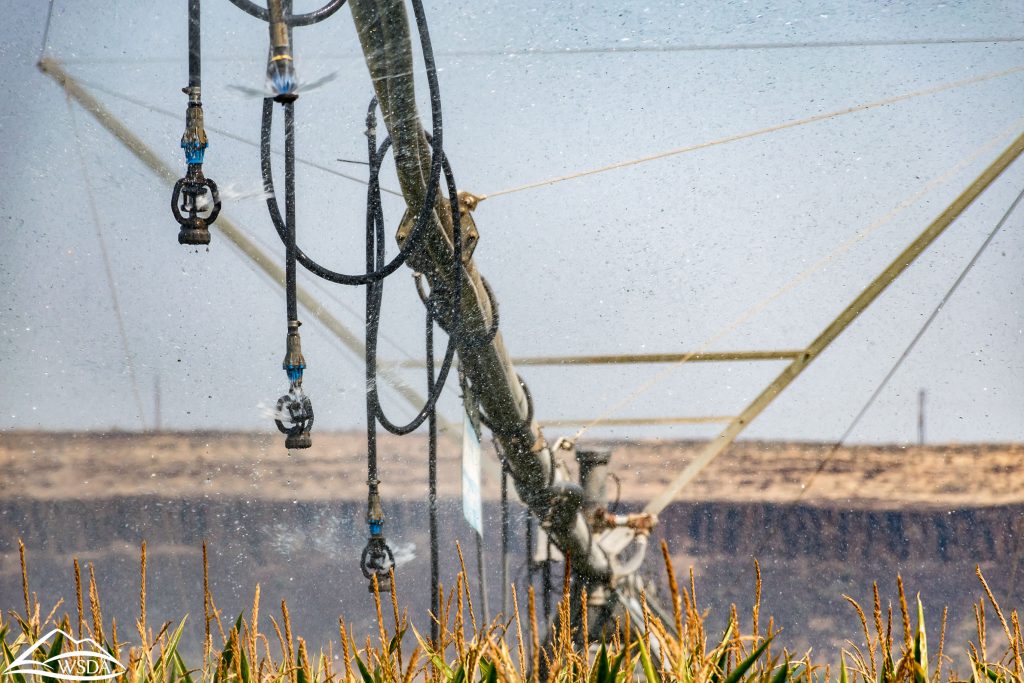 Irrigation | Photo by WSDA