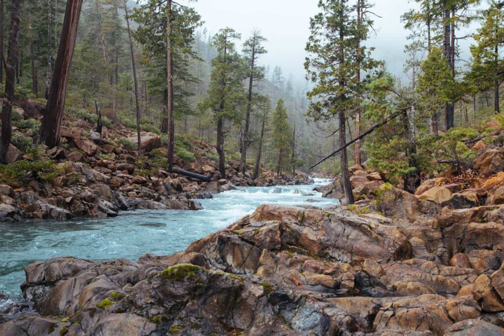 Rough and Ready Creek, OR | Photo by Northwest Rafting Co./Zach Collier