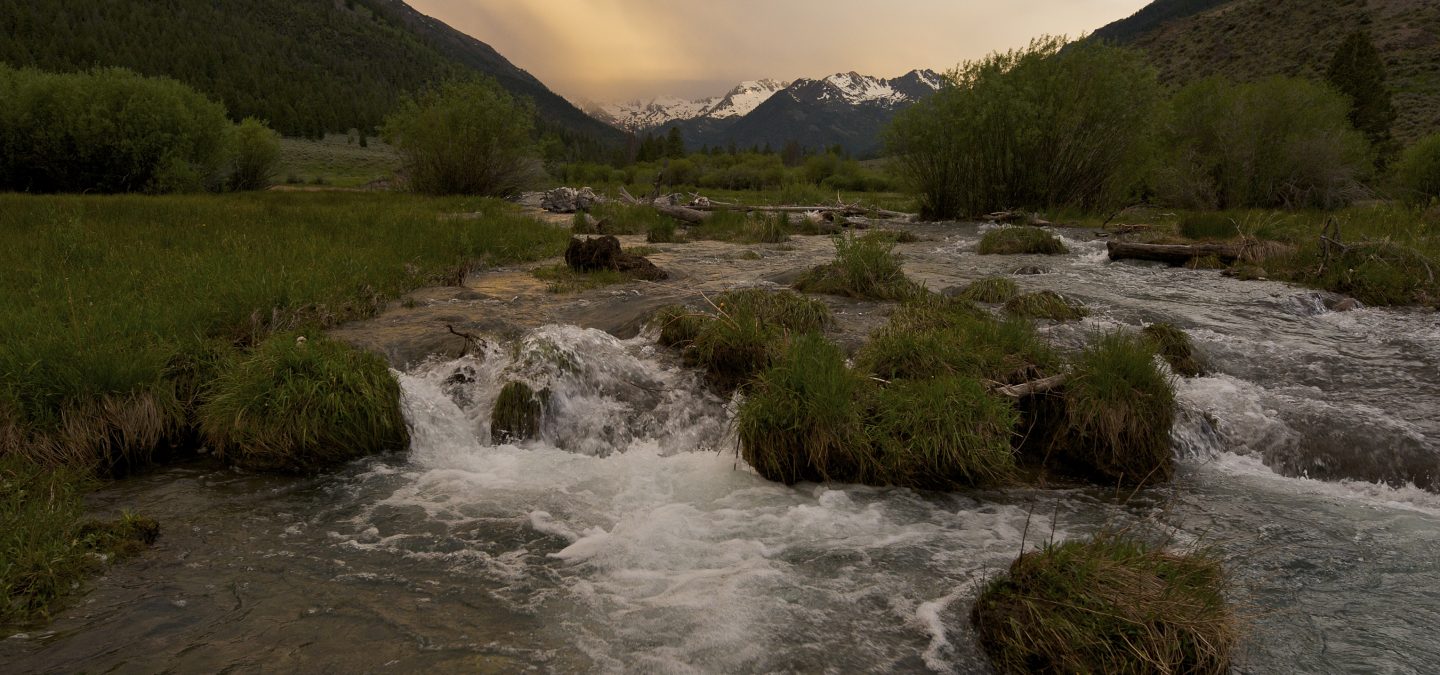 East Fork of Salmon River, ID | Photo by Neil Ever Osborne