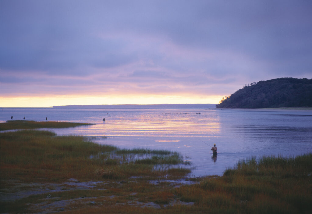 Mouth of the Ipswich River, MA | Photo by Andrew Borsari