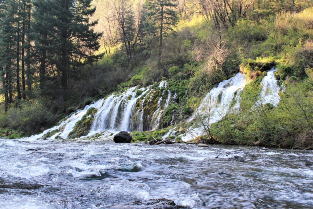 McCloud River, CA | Photo by Tracey Diaz