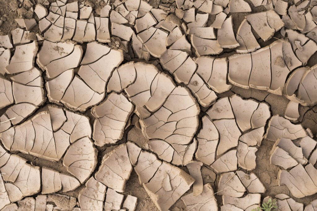 A dry riverbank | Photo by Tim Romano