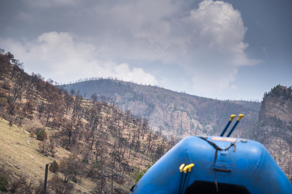 Burnt forest in Glenwood Canyon | Photo by Tim Romano