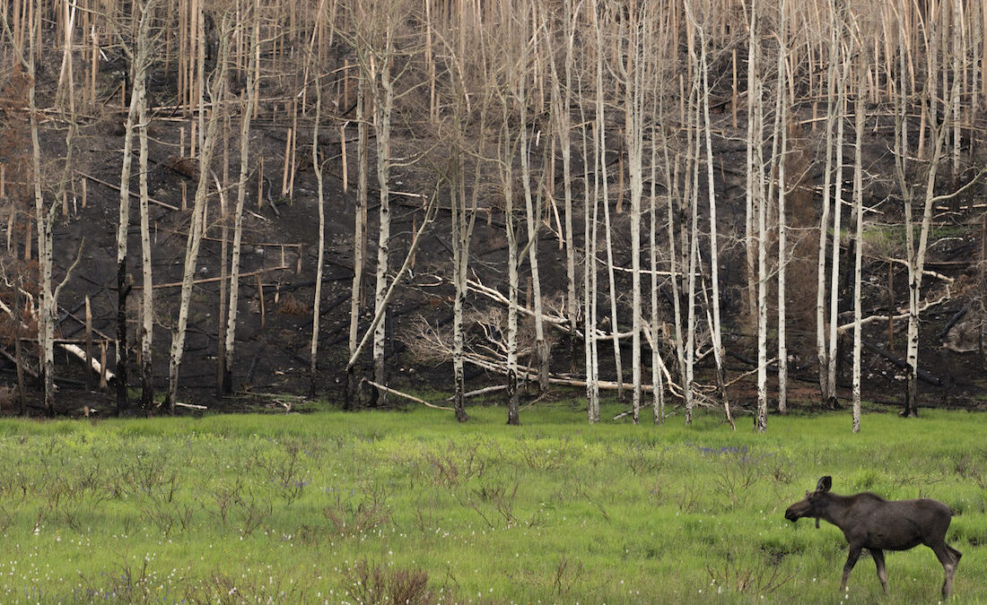 Реферат: Colorado River Essay Research Paper Colorado RiverGeographers