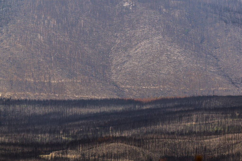 The remains of a fire, west of the Kawuneeche Valley in Rocky Mountain National Park | photo by Tim Romano