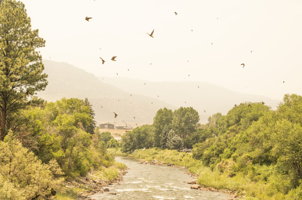 Thick smoke fills the air over the dewatered Roaring Fork River near Glenwood Springs | Photo by Tim Romano