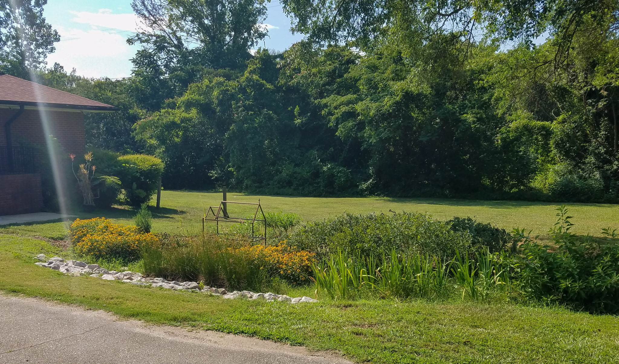 After the rain garden was planted at St. Ambrose Episcopal Church | Photo by Peter Raabe