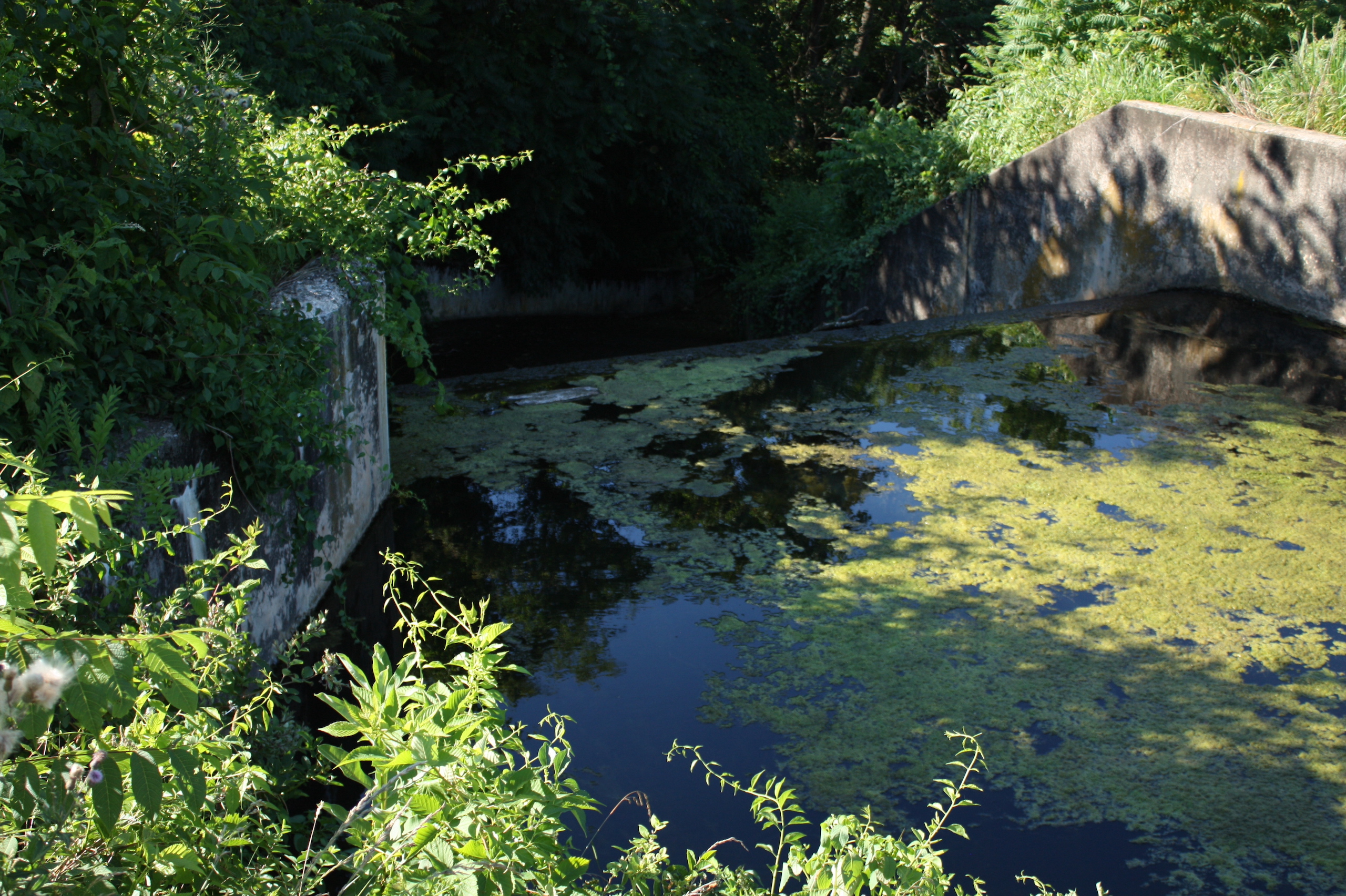 Kehm Run Dam Spillway