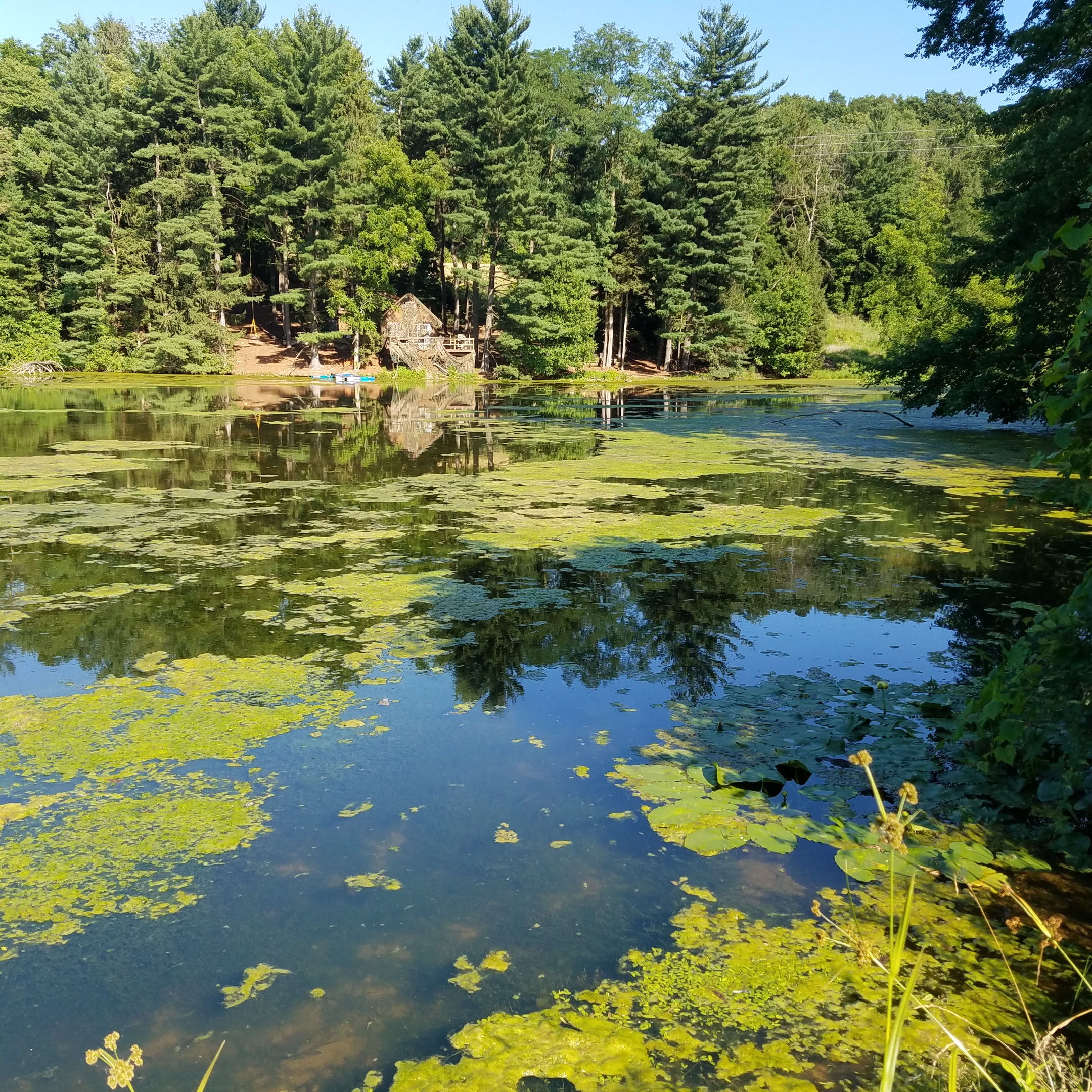 Kehm Run Dam Impoundment W Shack