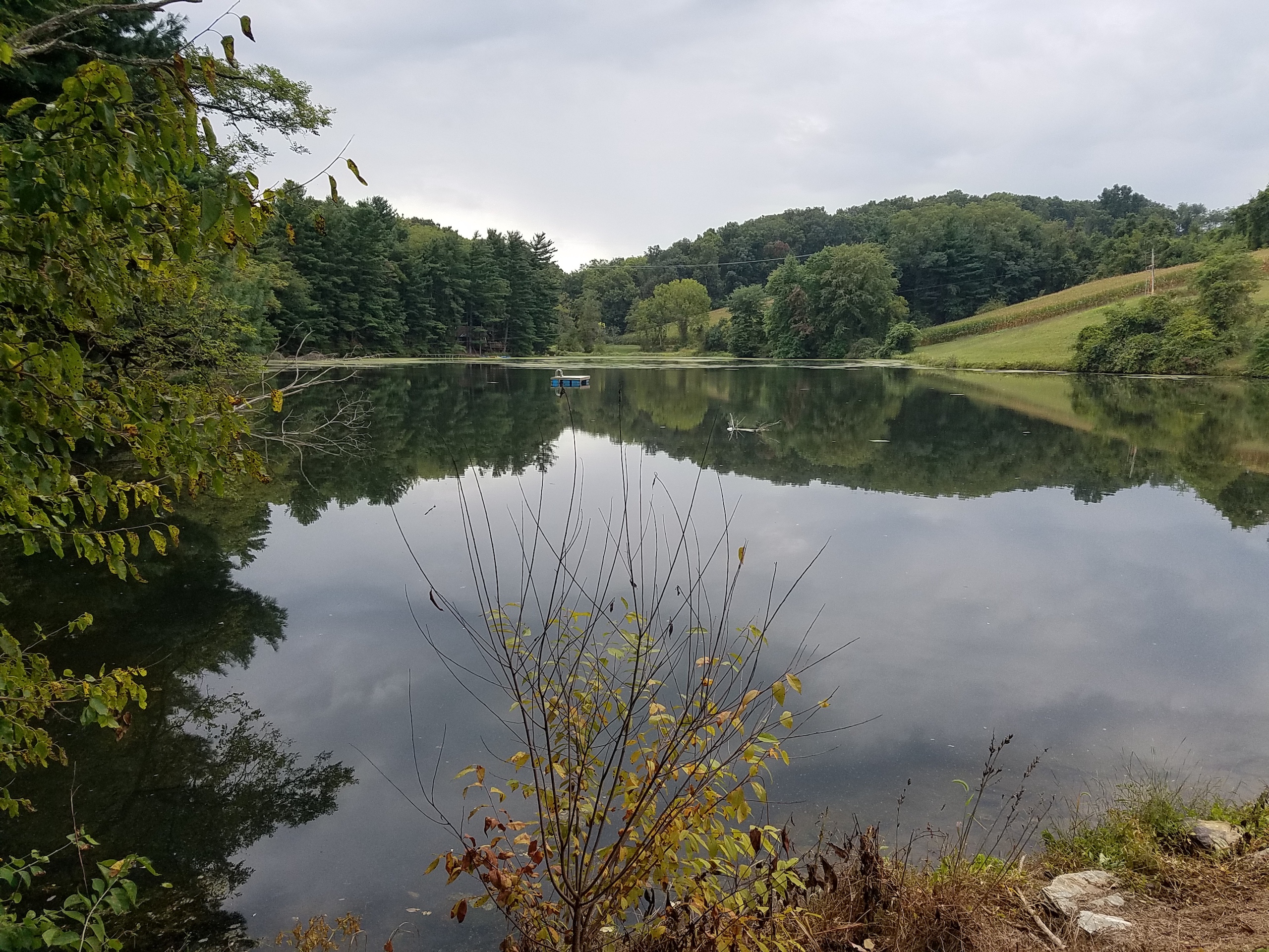 Kehm Run Dam Impoundment Before