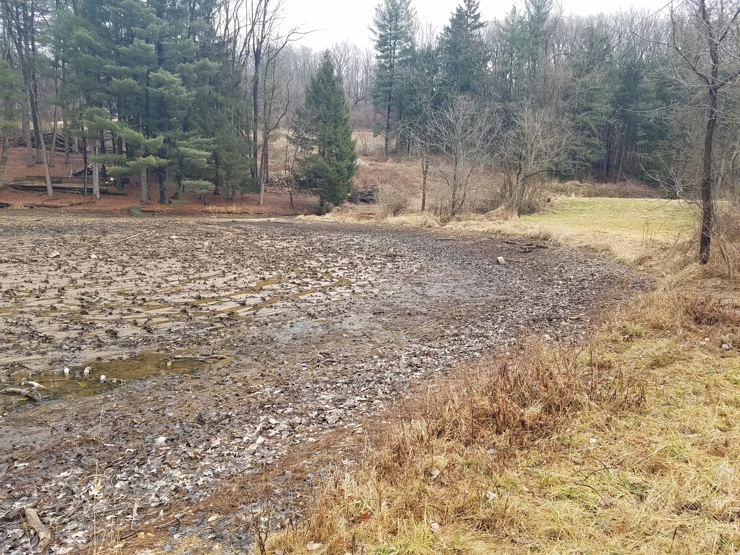 Kehm Dam upstream drawdown