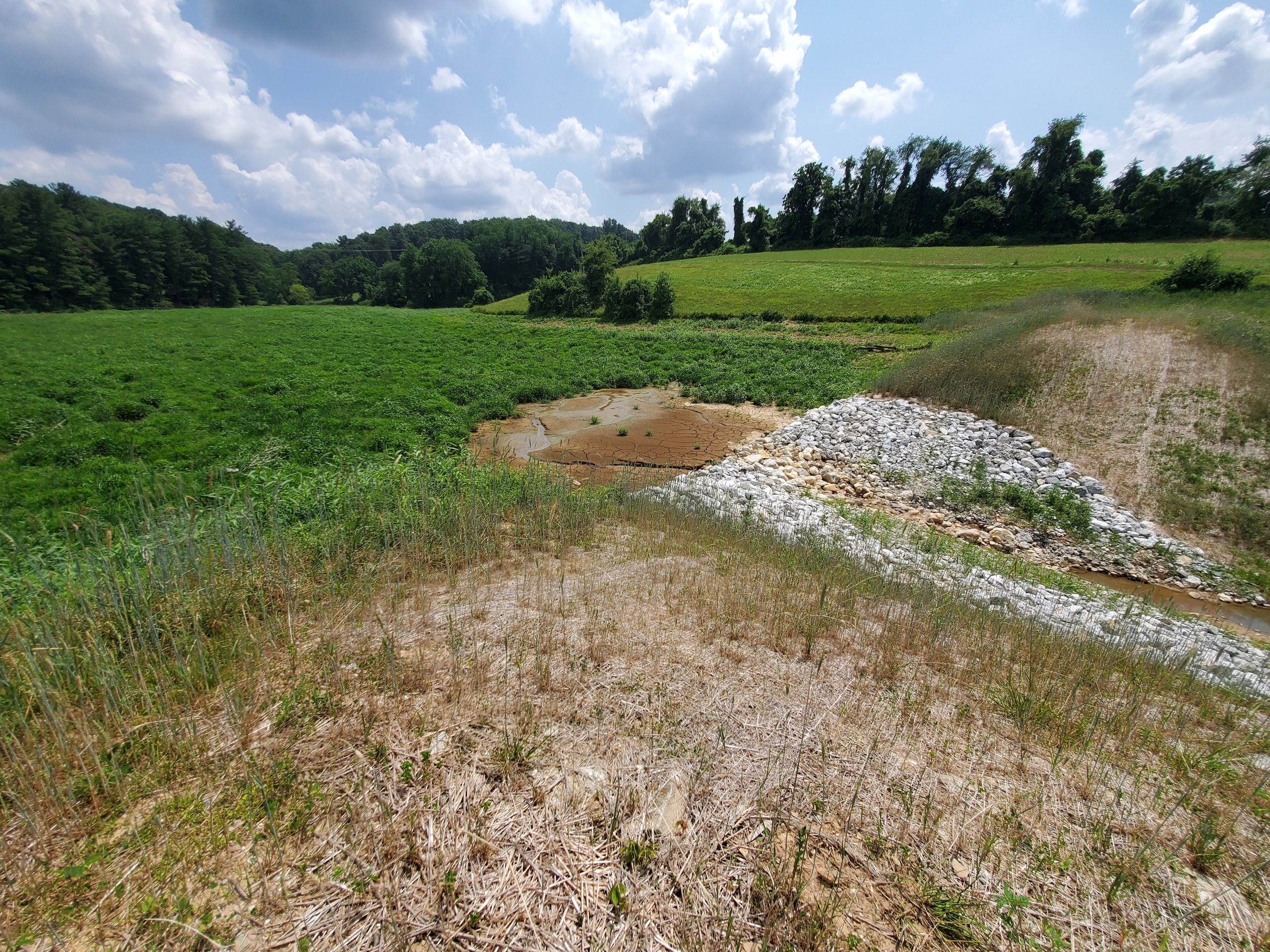 Kehm Dam Removal