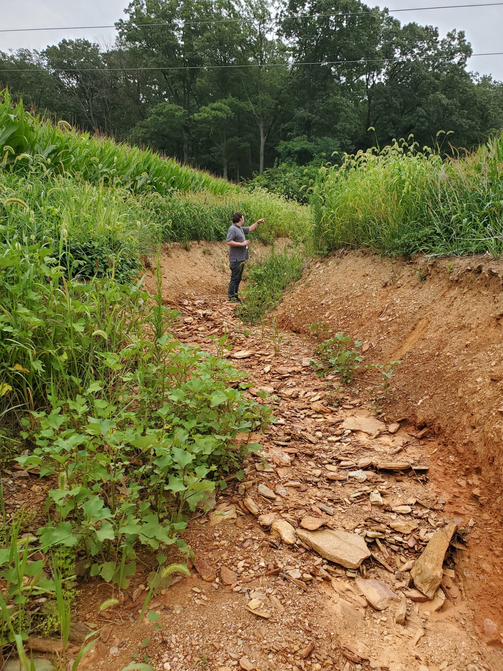 Ditch created by inadequate stormwater management