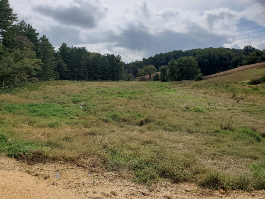 Kehm Run Dam after Phase 2