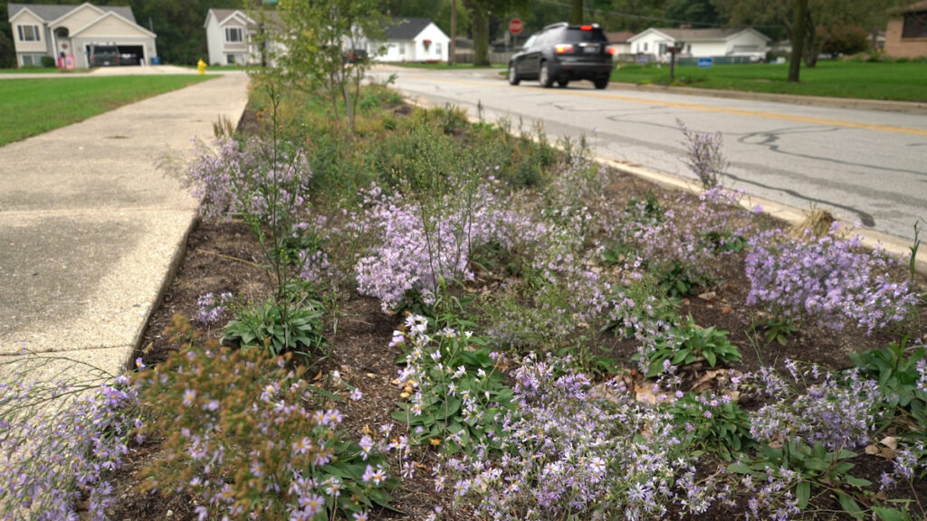 Example of green infrastructure in Grand Rapids | Photo by Sinjin Eberle