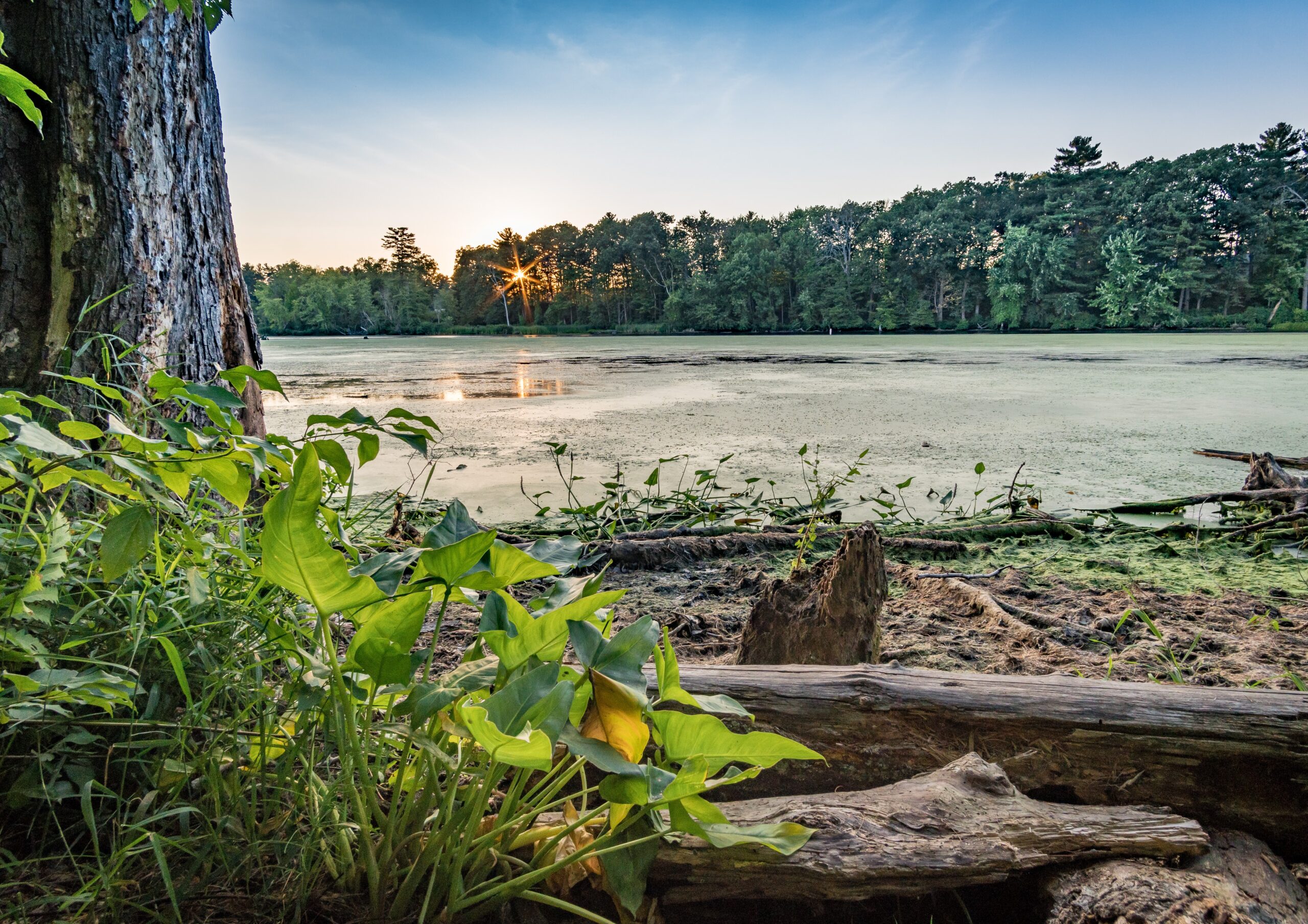 Nashua River | Photo by Seth Dewey