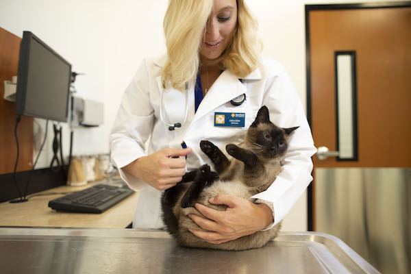 Carla with Miso the cat