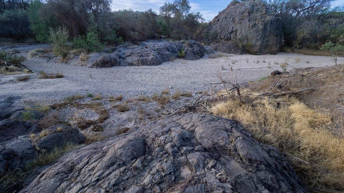 Dry creek bed of Davidson Creek through Davidson Canyon, Cienega Creek Natural Preserve, Pima County, Arizona Photo by Colleen Miniuk