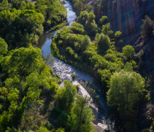 Gila River | Aerial imagery with Ecoflight | Pete McBride