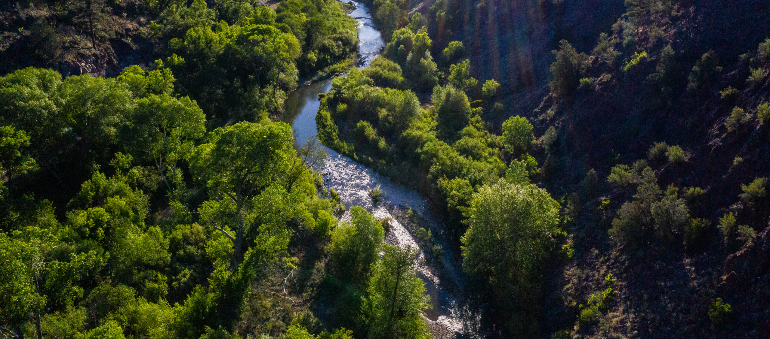 Gila River from Gila Hot Springs to Mogollon Creek.  Aerial imagery with Ecoflight.