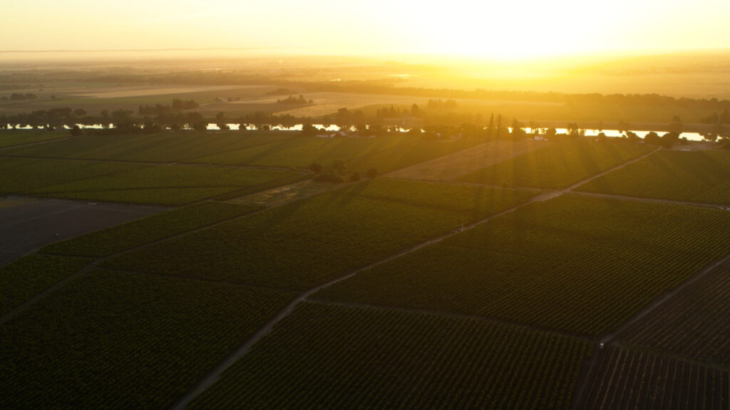 Bogle Vineyards & Sacramento River