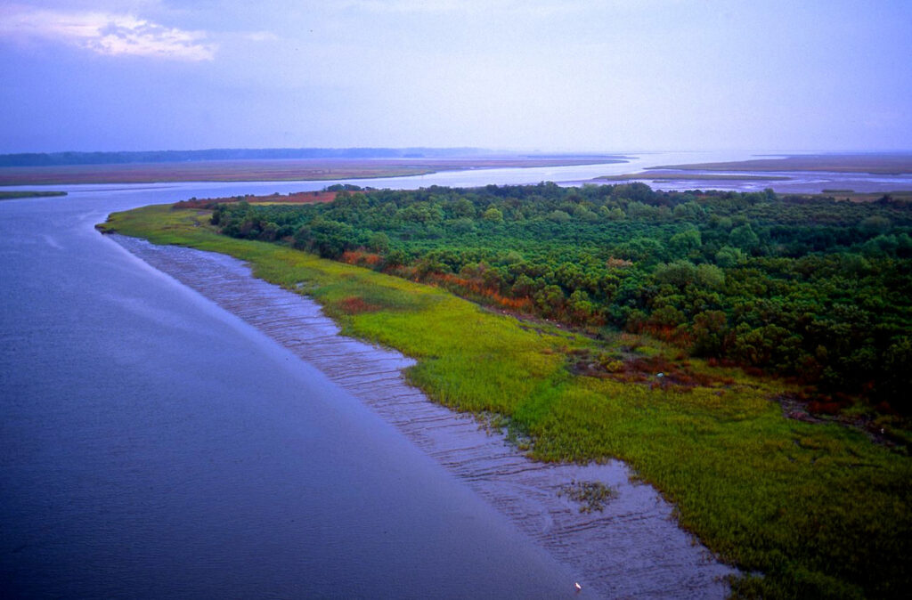 Edisto River, South Carolina | Photo Credit: Tim Palmer