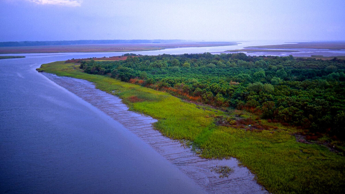 Edisto River, South Carolina | Photo Credit: Tim Palmer