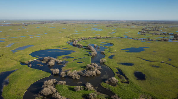 San Joaquin River, Central Valley, CA | Photo by Daniel Nylen