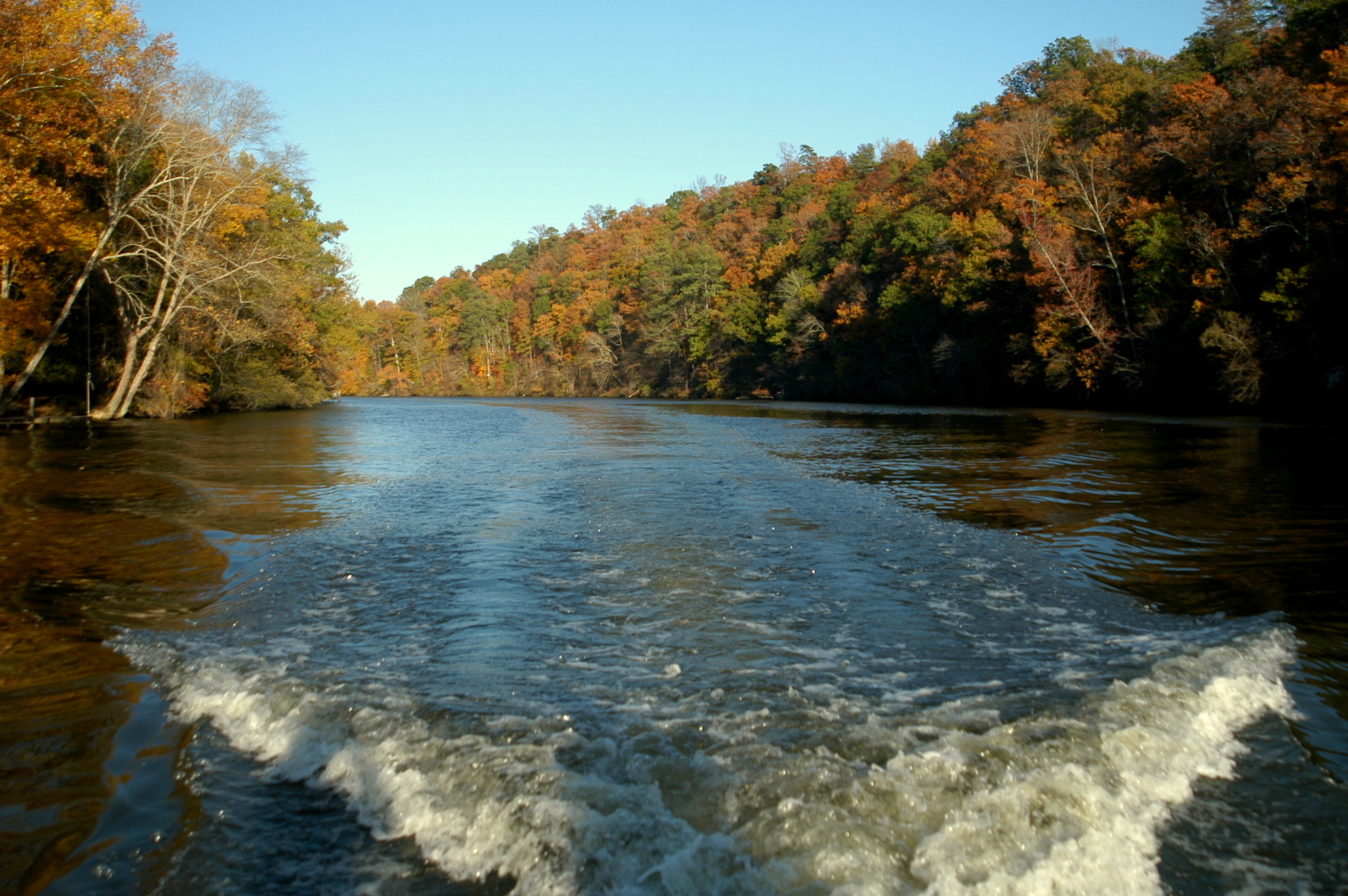 Shepard Bend on the Black Warrior River | Photo by Nelson Brooke