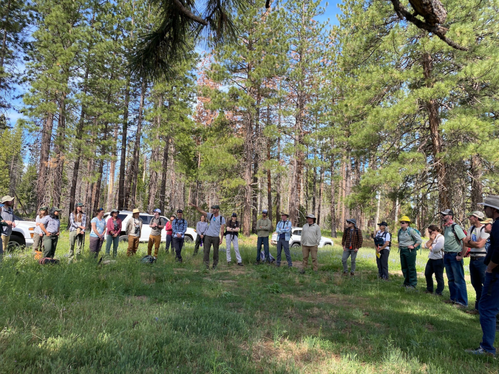 Sierra Meadows Partnership members gather for introductions and overview of Ackerson Meadow Restoration Project | Photo by Madeleine Bule