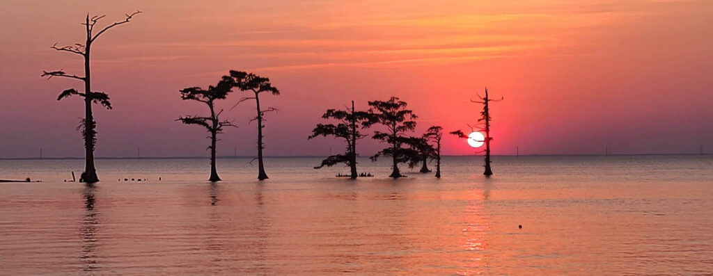 Neuse River: 2022 River of the Year